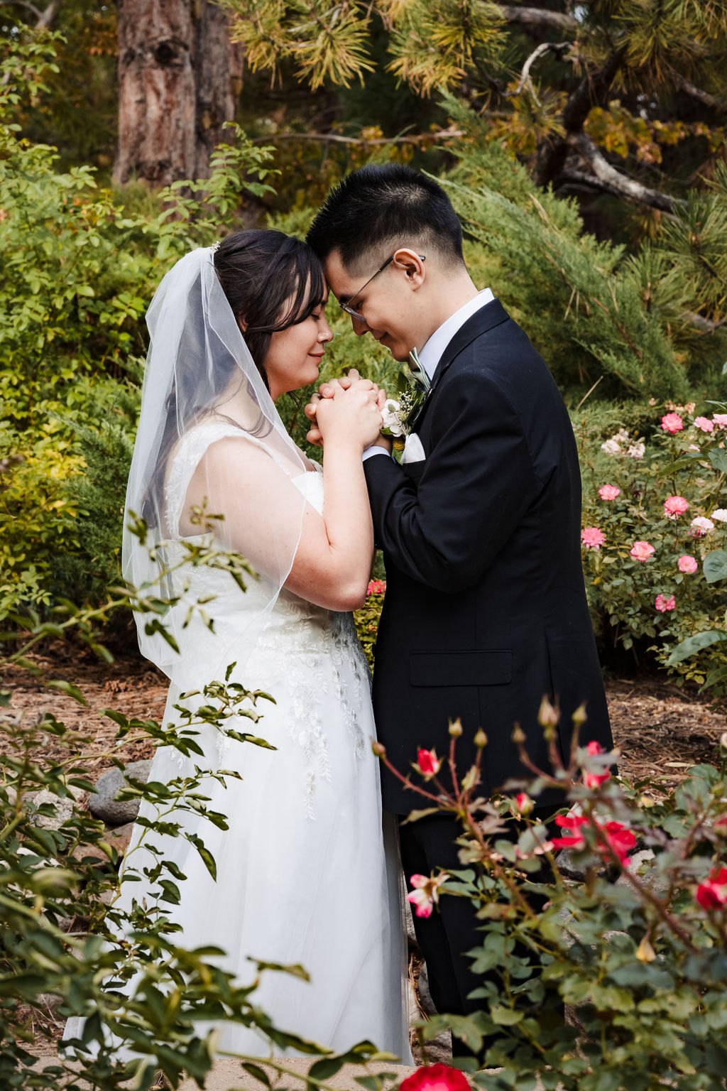A kiss among red roses in the garden