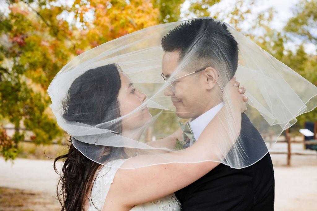 Vincent and Ginger under the veil
